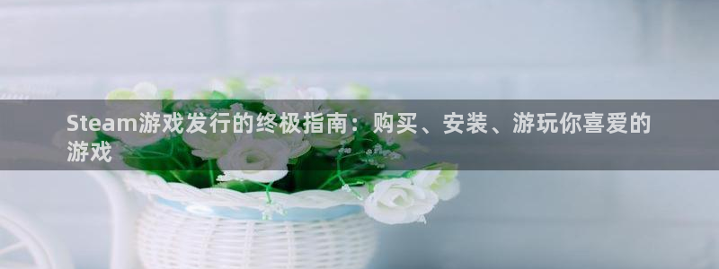 顺盈娱乐官网首页：Steam游戏发行的终极指南：购买、安装、游玩你喜爱的
游戏