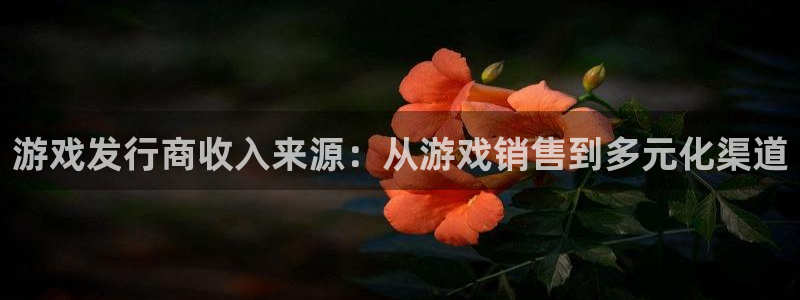 顺盈娱乐平台最新活动：游戏发行商收入来源：从游戏销售到多元化渠道