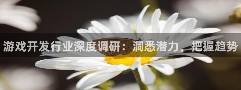 顺盈娱乐的员工待遇怎么样知乎：游戏开发行业深度调研：洞悉潜力，把握趋势