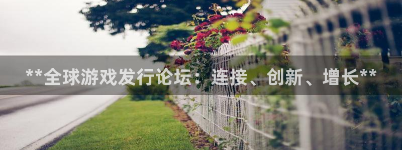 顺盈娱乐登录平台下载安装最新版：**全球游戏发行论坛：连接、创新、增长**