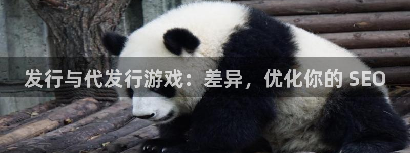 顺盈培训怎么样：发行与代发行游戏：差异，优化你的 SEO
