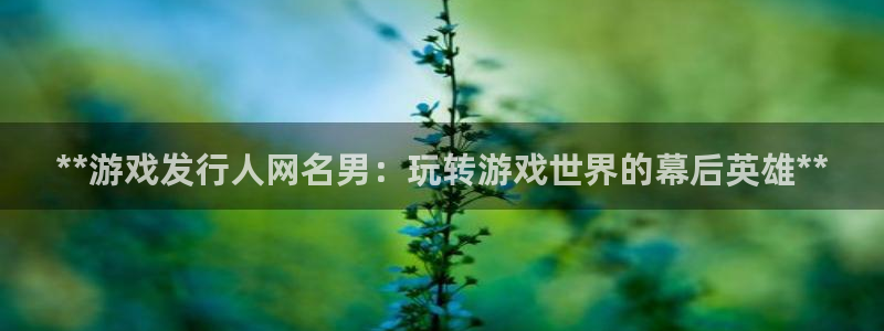 顺盈娱乐登录平台是什么软件：**游戏发行人网名男：玩转游戏世界的幕后英雄**