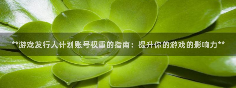 顺盈娱乐平台提现被关闭怎么回事儿呀：**游戏发行人计划账号权重的指南：提升你的游戏的影响力**
