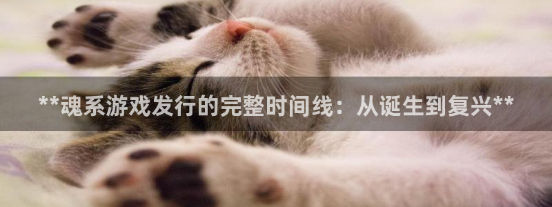 顺盈网络科技有限公司电话：**魂系游戏发行的完整时间线：从诞生到复兴**
