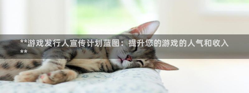 顺盈平台注册流程：**游戏发行人宣传计划蓝图：提升您的游戏的人气和收入
**