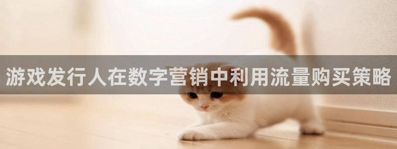 顺盈电子：游戏发行人在数字营销中利用流量购买策略