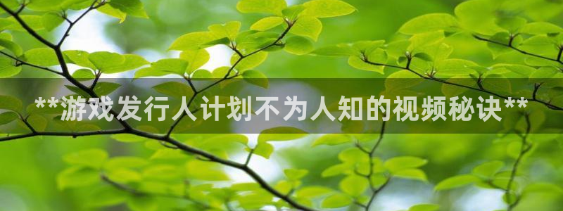 顺盈平台注册地址在哪查：**游戏发行人计划不为人知的视频秘诀**