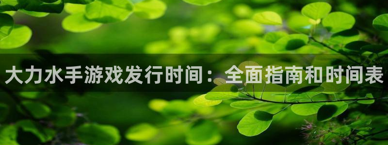 顺盈平台注册网址查询：大力水手游戏发行时间：全面指南和时间表