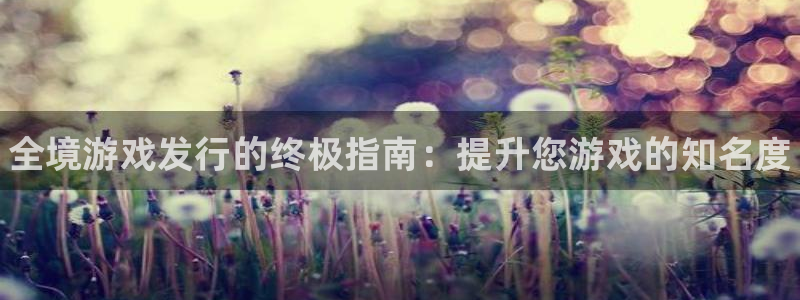 顺盈娱乐官网首页登录网址：全境游戏发行的终极指南：提升您游戏的知名度