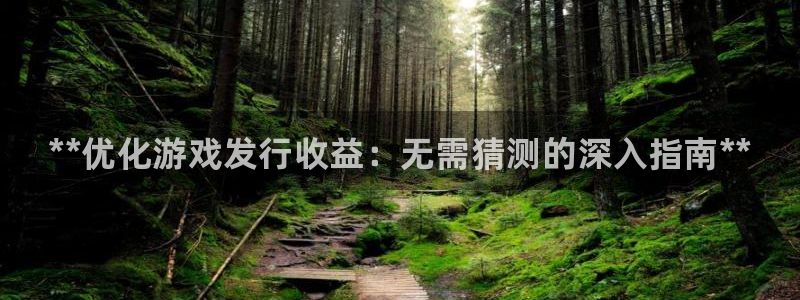 顺盈娱乐公司介绍图片