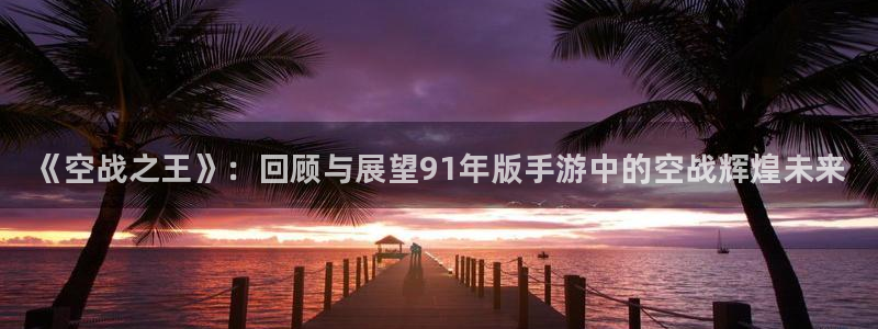 顺盈娱乐登录平台是什么意思啊：《空战之王》：回顾与展望91年版手游中的空战辉煌未来
