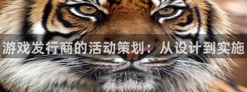 顺盈娱乐龙虎和平台：游戏发行商的活动策划：从设计到实施