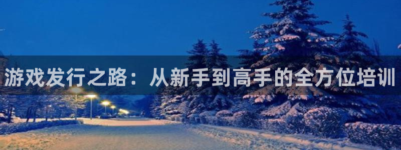 顺赢电子官网：游戏发行之路：从新手到高手的全方位培训