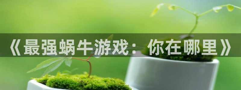 顺盈娱乐登录平台是什么意思：《最强蜗牛游戏：你在哪里》