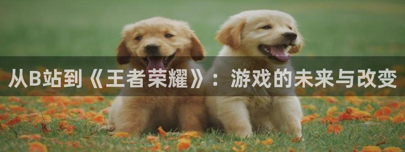 顺盈平台注册地址在哪查：从B站到《王者荣耀》：游戏的未来与改变