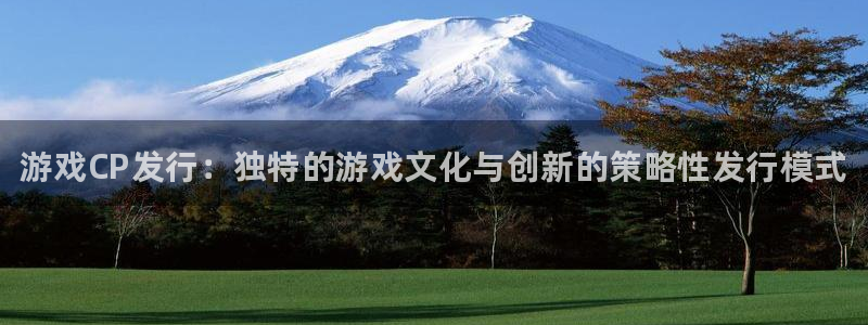 顺盈娱乐平台注册流程图片下载：游戏CP发行：独特的游戏文化与创新的策略性发行模式