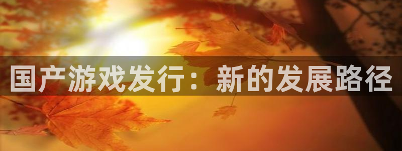 顺盈平台注册开户要钱吗：国产游戏发行：新的发展路径