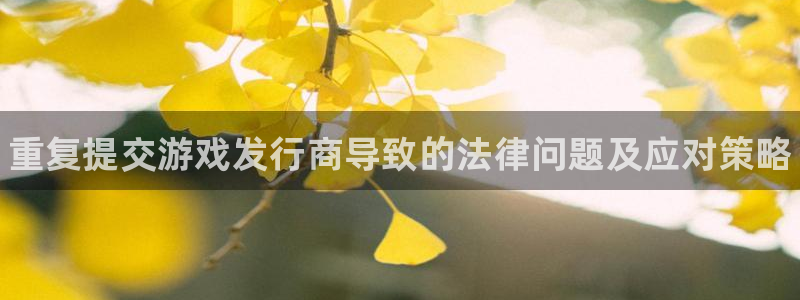 顺盈娱乐公司介绍