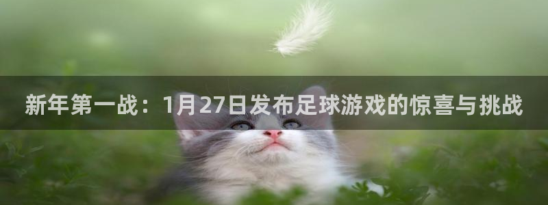 顺盈平台注册地址在哪里